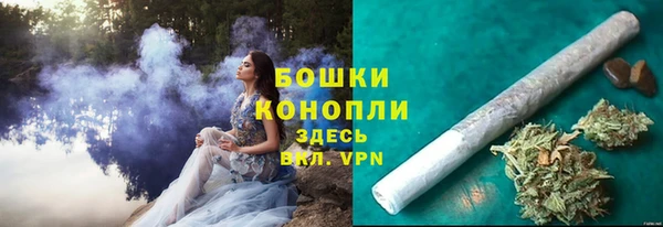 СК Саяногорск