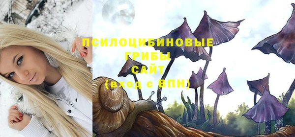 дурь Алексин